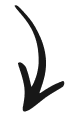Down_ArrowRight
