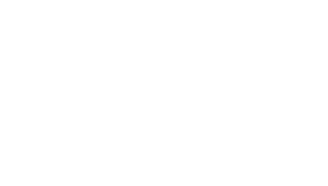 dell emc white